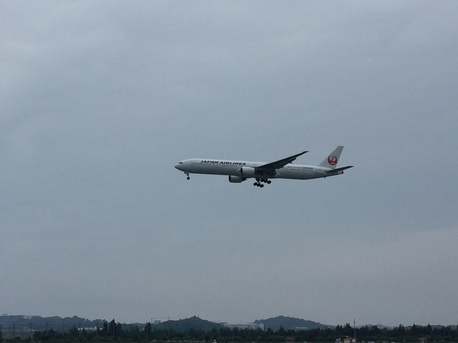 飛行機